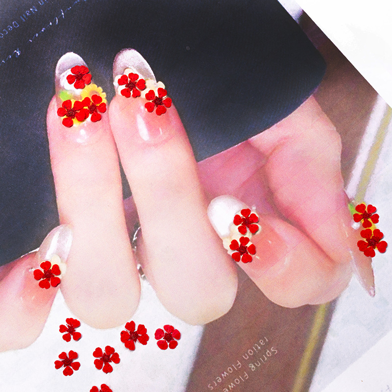 96Pcs Mini 1.5cm Natural Press - Nail Art Natural ulasan dan harga