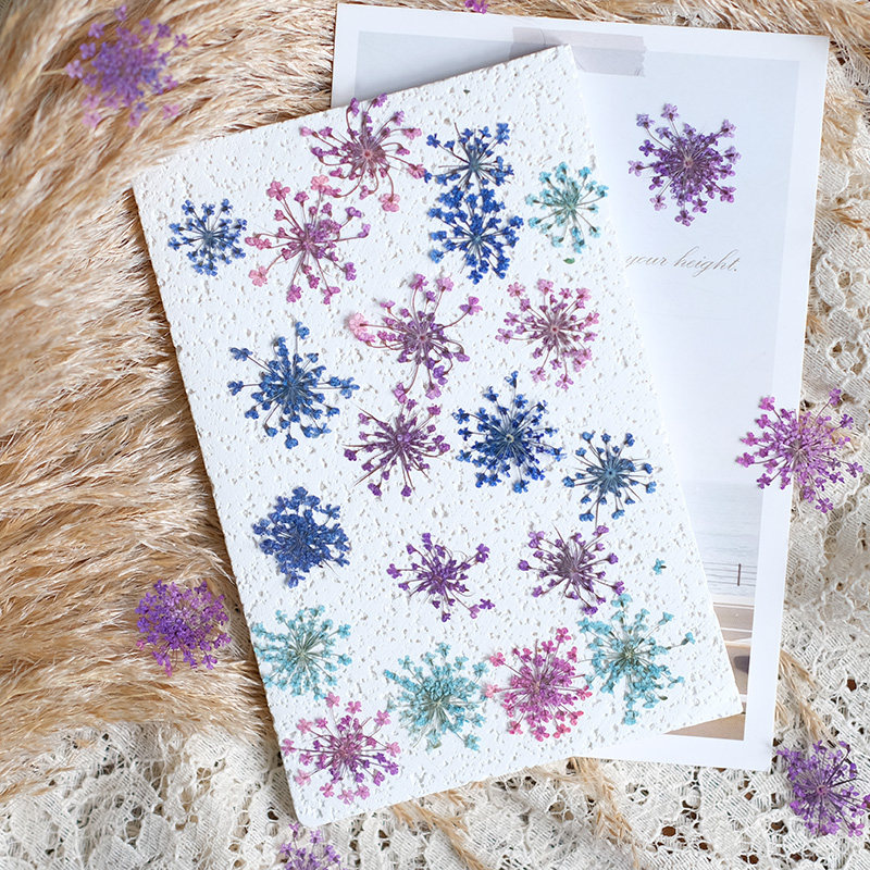 24pcs, 2-2.5cm, Nature Dyed Mi - Nail Art Natural ulasan dan harga