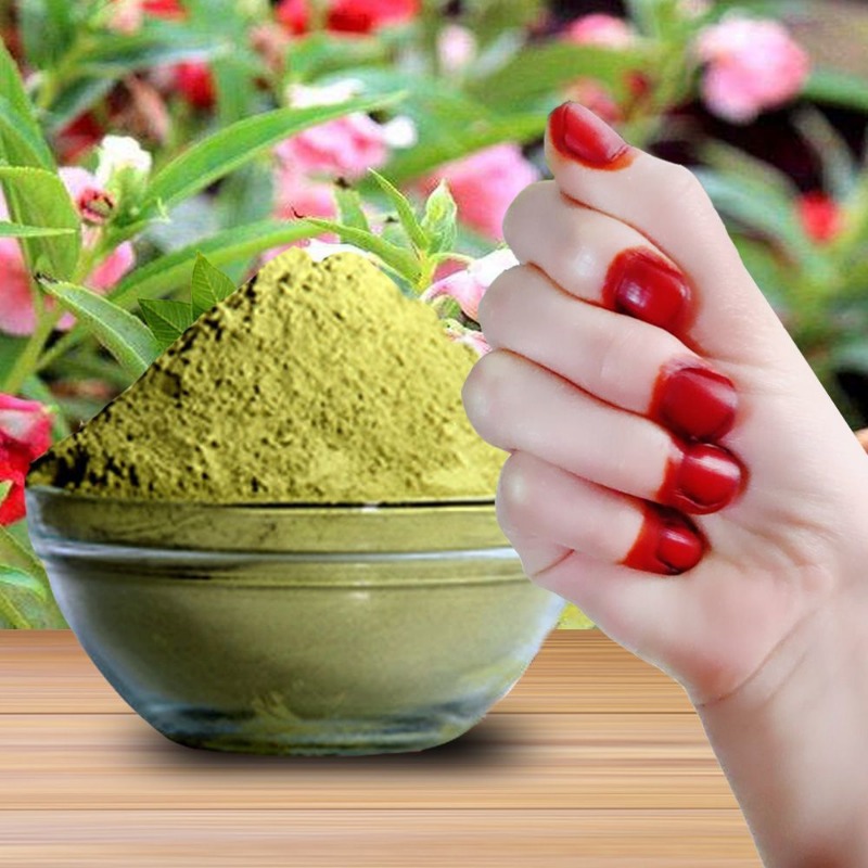 40g Henna Nail Dye Powder For  - Nail Art Natural ulasan dan harga