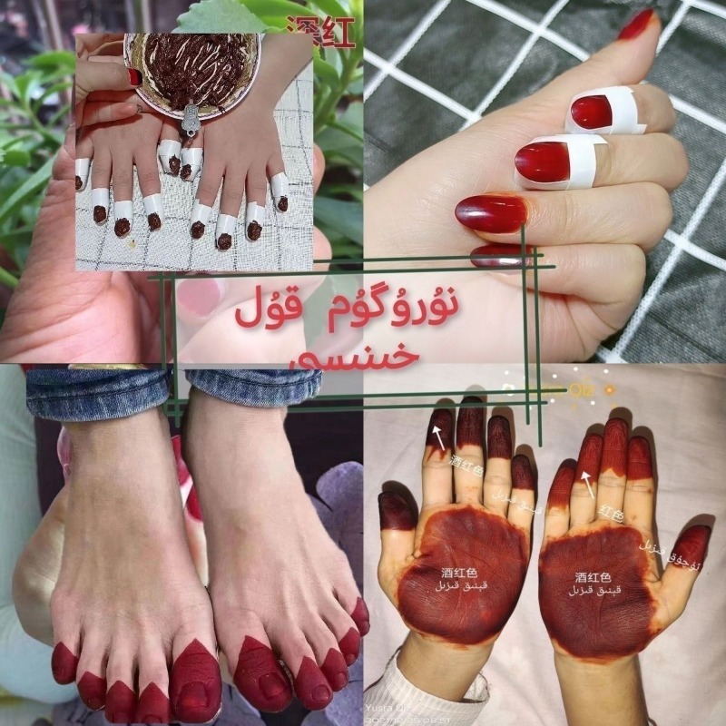 40g Henna Nail Dye Powder For  - Nail Art Natural ulasan dan harga